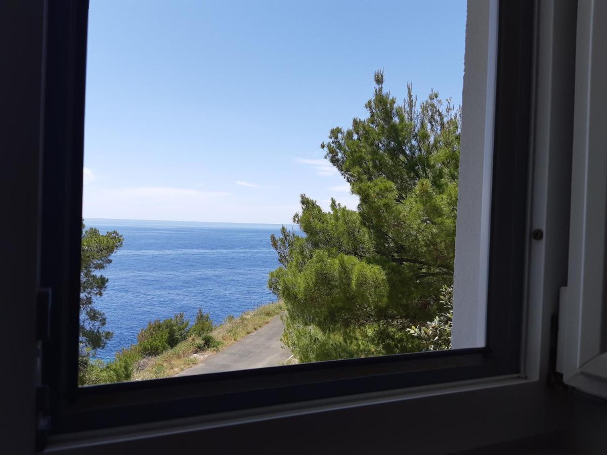 Apartments Rotim, Mljet, Sutmiholjska Babino Polje Dış mekan fotoğraf