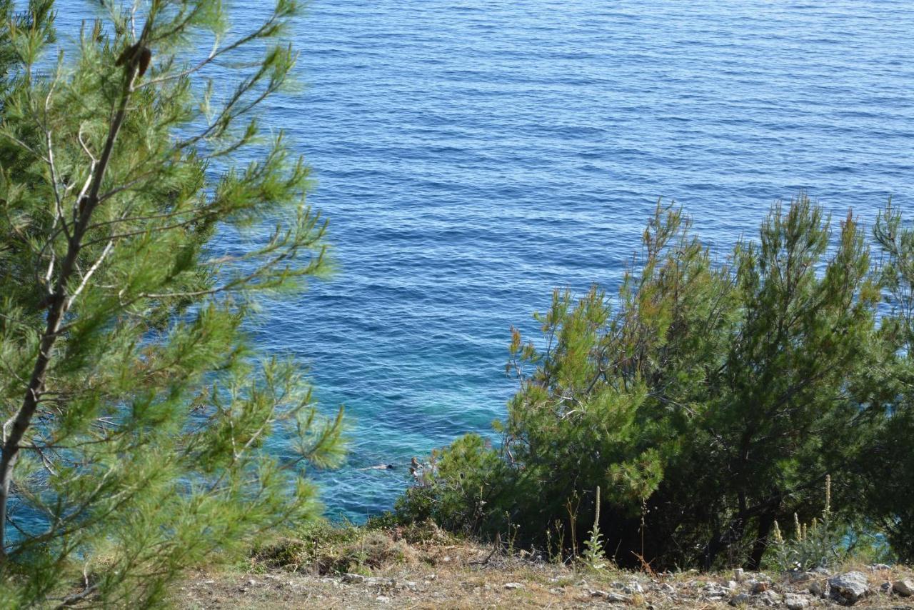 Apartments Rotim, Mljet, Sutmiholjska Babino Polje Dış mekan fotoğraf